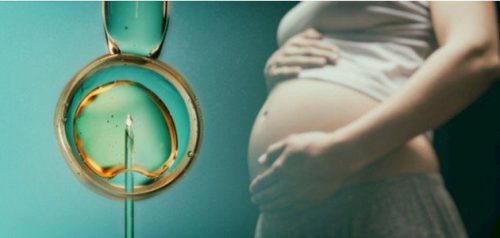 تفاصيل عملية الحقن المجهري