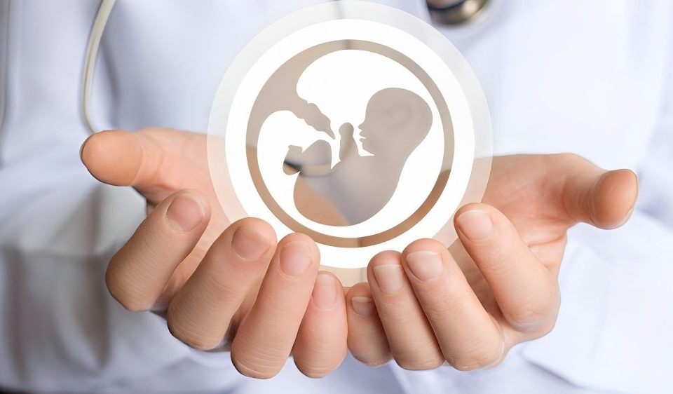 تجميد البويضات هل يكون هو أمل مريضات السرطان؟