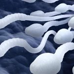 تجميد الحيوانات المنوية