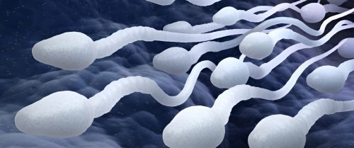 تجميد الحيوانات المنوية.هل يحقق حلم الإنجاب؟