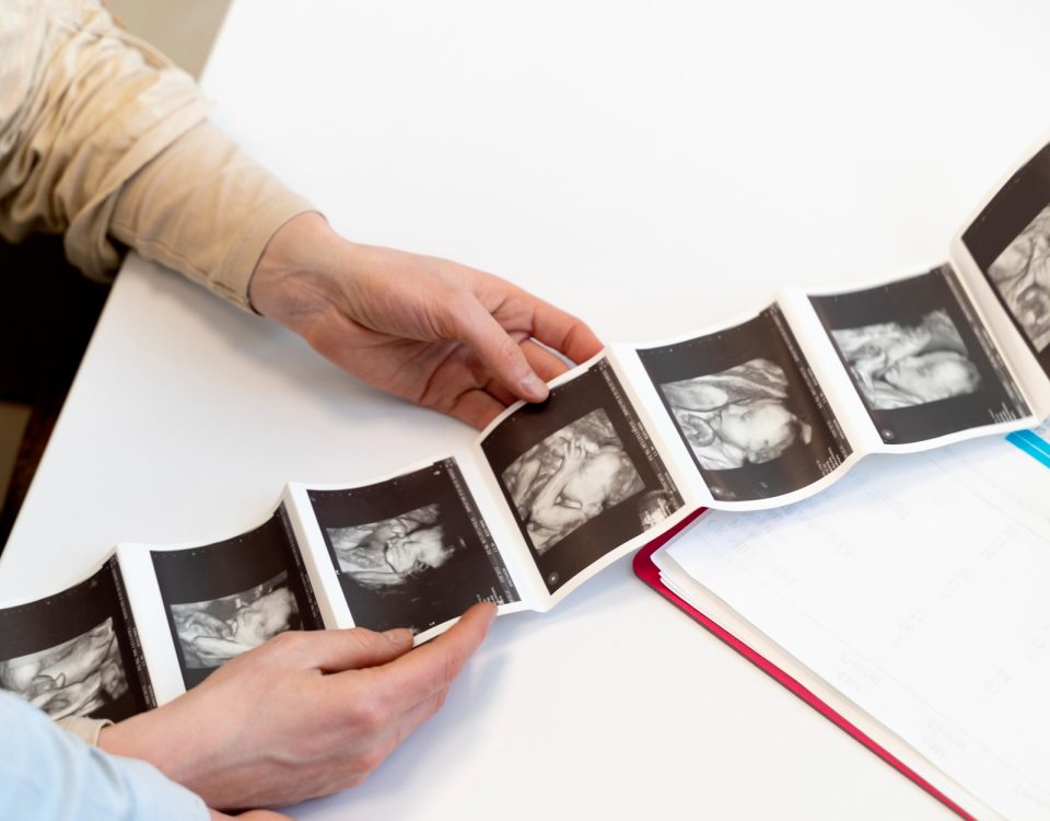 مراحل تكوين الجنين