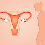 تغيرات المهبل خلال الحمل