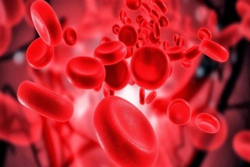 فقر الدم بعد الولادة … ما هي أعراضه وأسبابه وطرق الوقاية منه؟