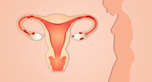 ما هي تغيرات الأعضاء التناسلية بعد الولادة