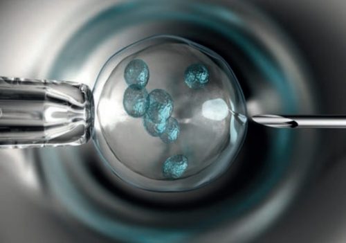 البروتوكول القصير في الحقن المجهري| رحلة أقصر نحو الأمومة