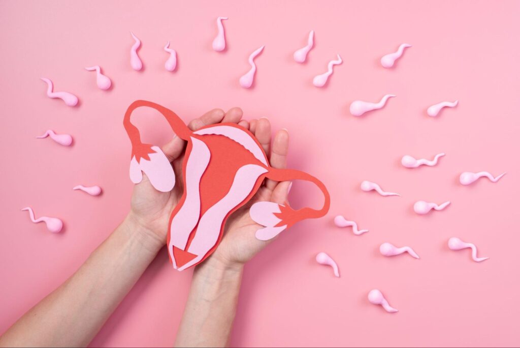 ما هي التصاقات الرحم