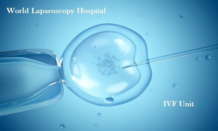State of the Art IVF Unit